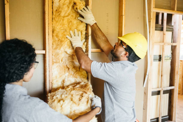 Best Blown-In Insulation  in Oakland, MD